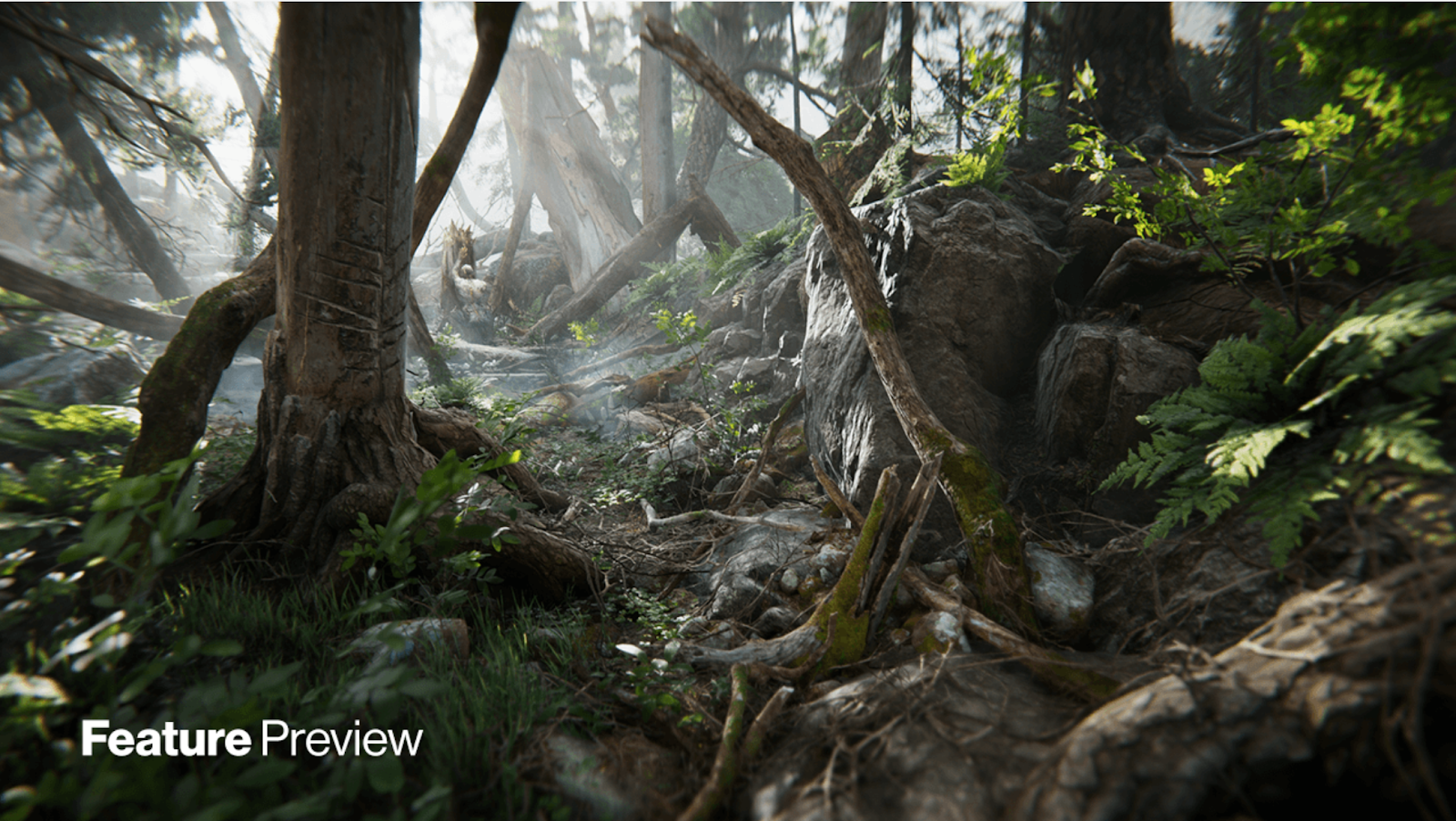 To better understand materials, review the scene above from the Unity create “Book of the Dead”. Custom materials were crafted to create rocks, foliage, bark, sticks, and more.
