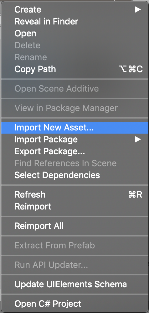 Figure 01: Project Window with Import New Asset selected