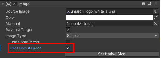 Figure 07: Select the Preserve Aspect ratio