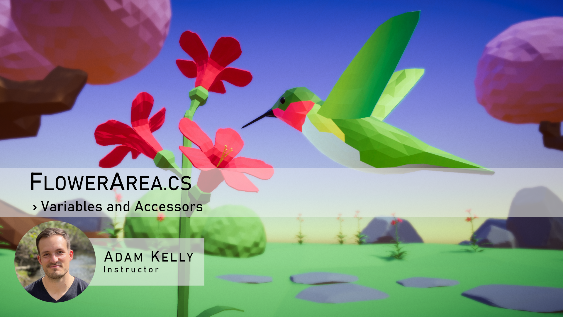Variables and Accessors