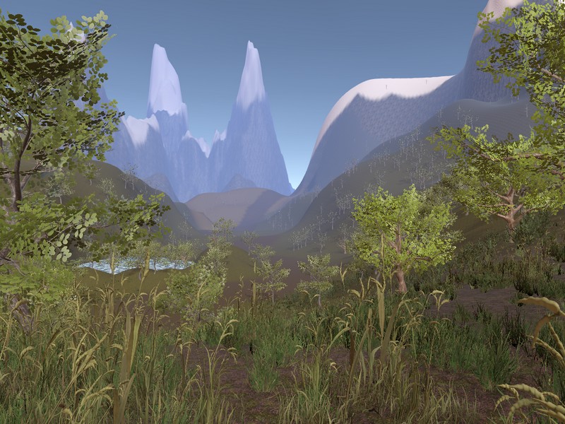 Landscape