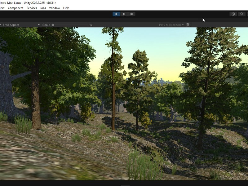 terrain