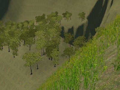 Terrain Editor's cool!