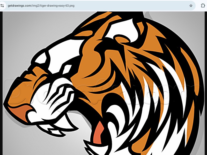 tiger work