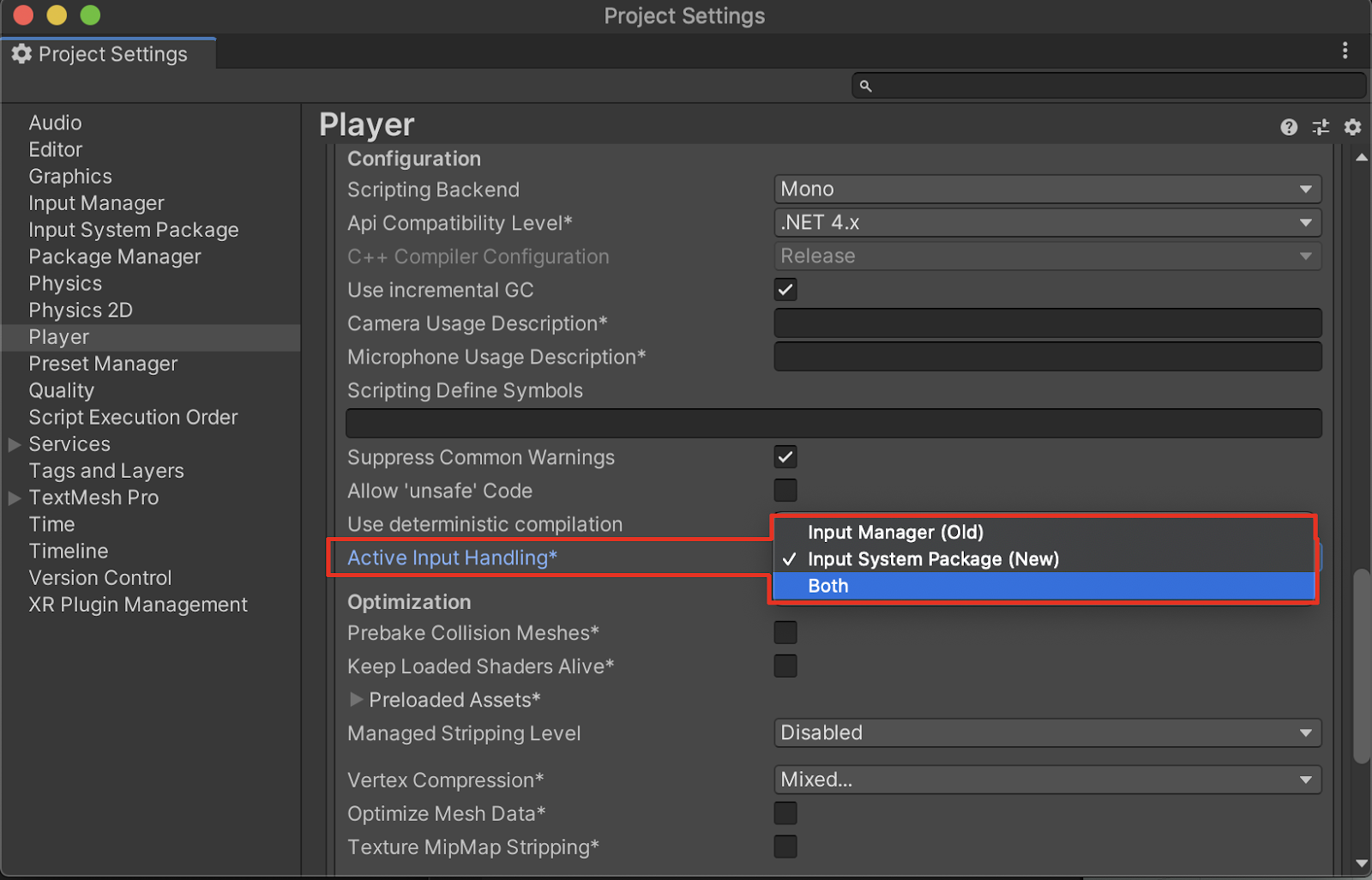 The Active Input Handling is set to Both